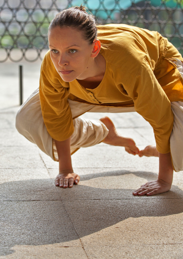 Hatha Yoga Hatha Yoga